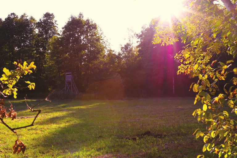 Wanderung Briesetal: Bester Rundwanderweg von Birkenwerder